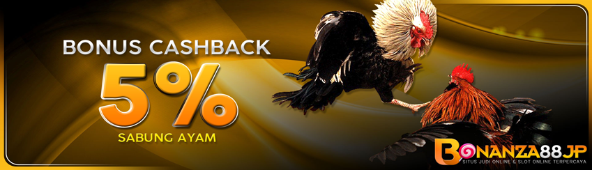 BONUS CASHBACK SABUNG AYAM 5% 